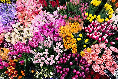 法国油画乡村治愈游戏《田园记》全平台发售