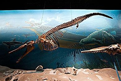 传言称《塞尔达传说：黄昏公主》将推出NS重制版